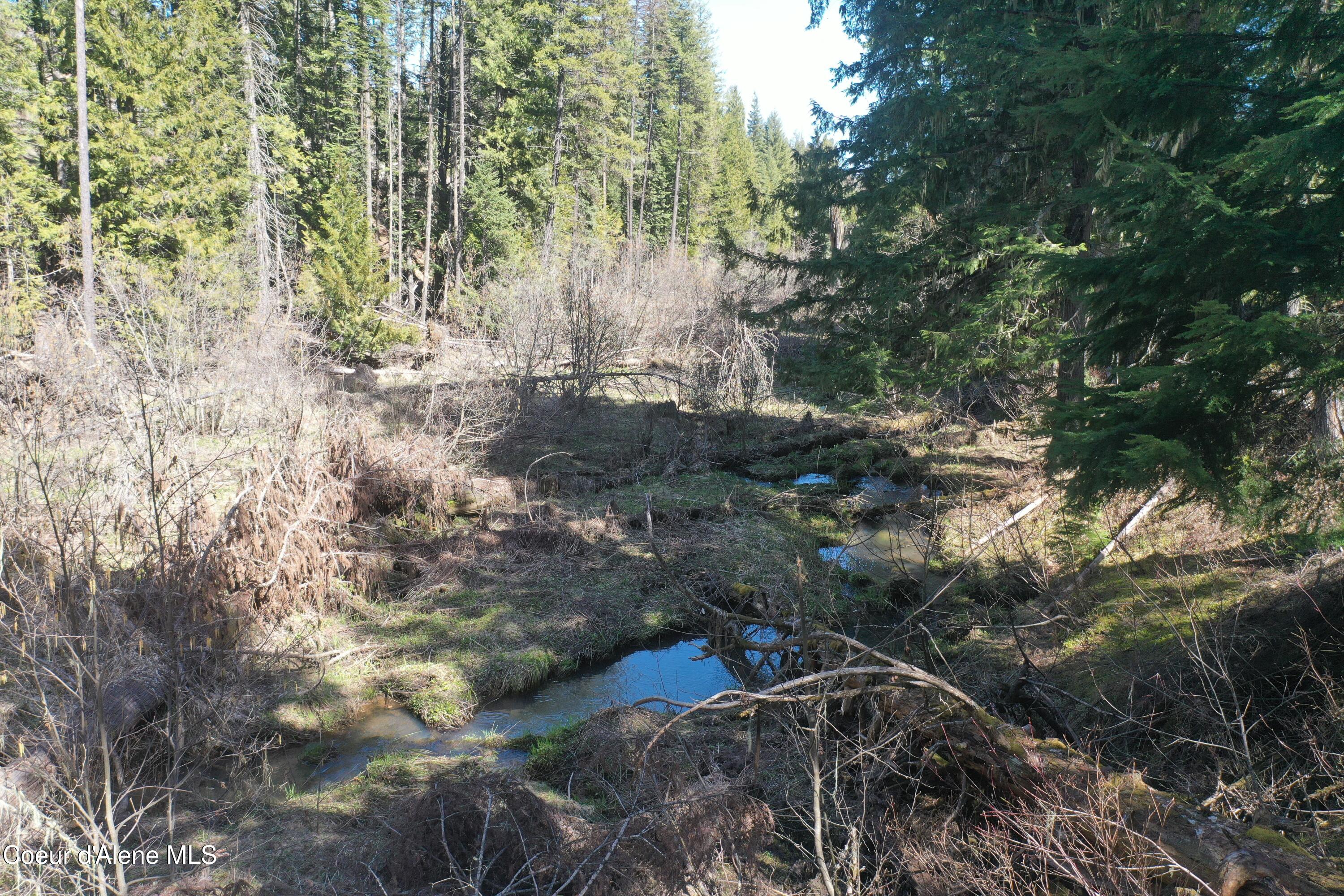 Nka Sanders Road St. Maries, ID 83861 - Photo 16 of 22 DJI_0708