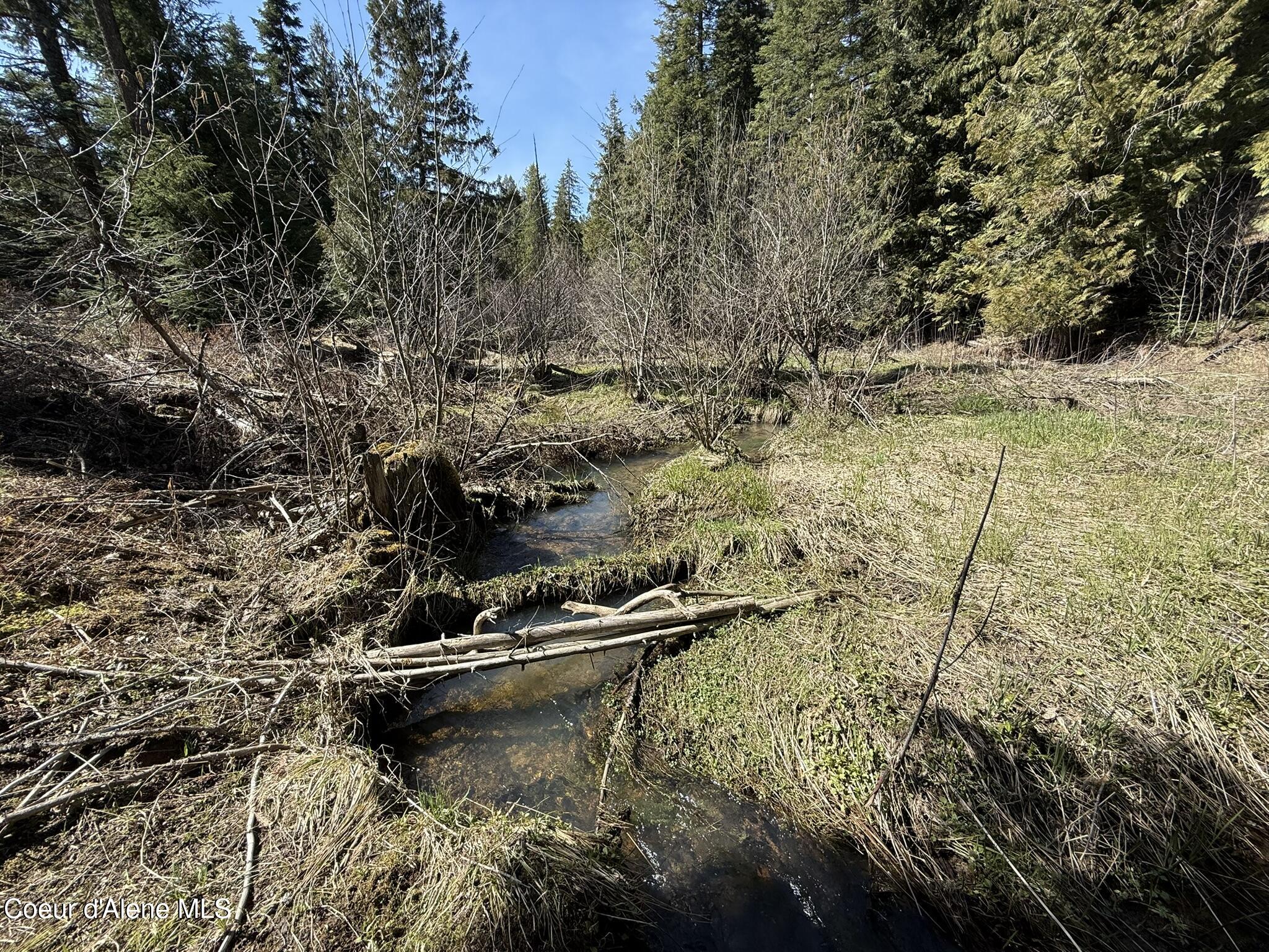 Nka Sanders Road St. Maries, ID 83861 - Photo 2 of 22 IMG_6433