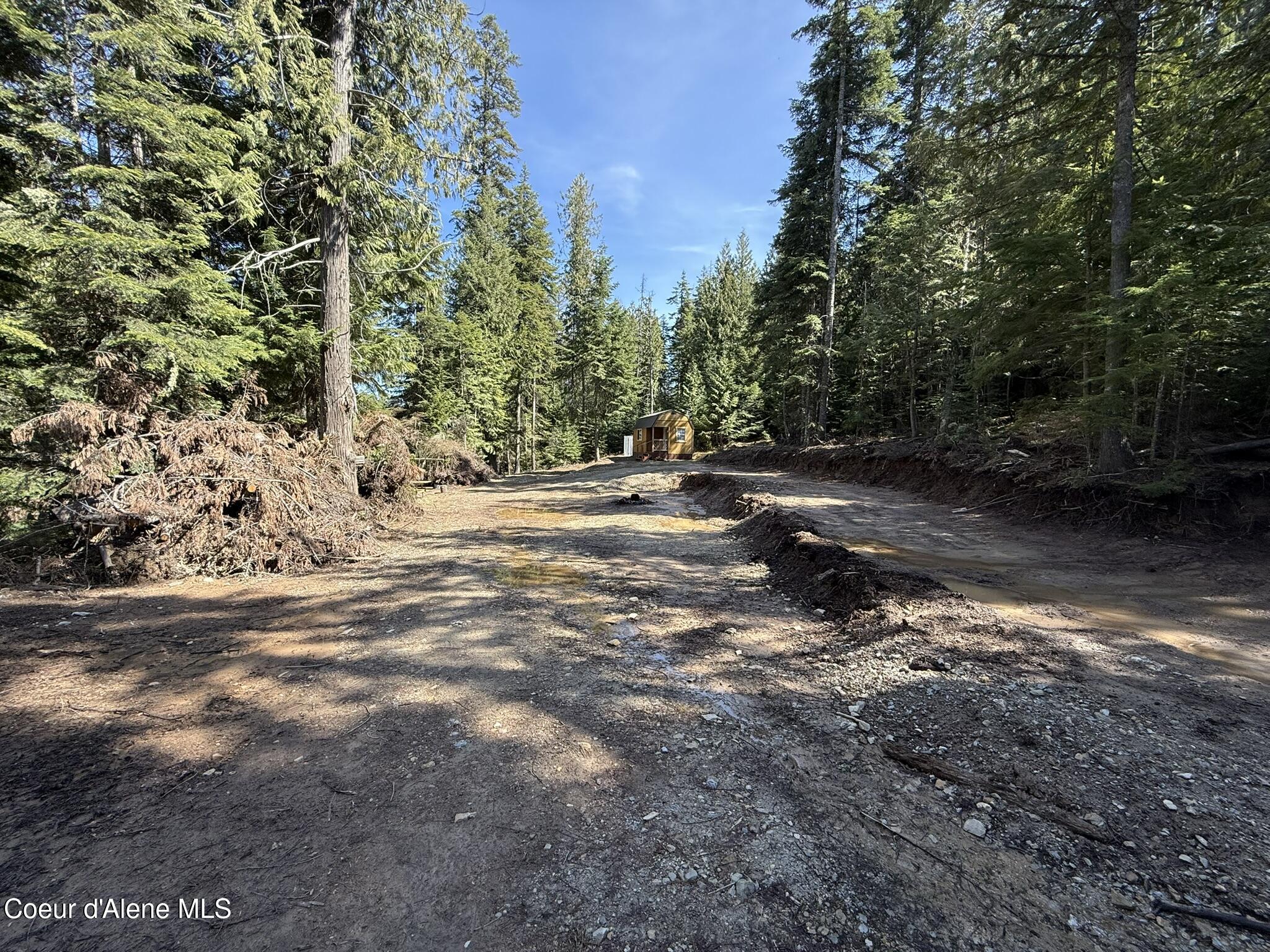 Nka Sanders Road St. Maries, ID 83861 - Photo 10 of 22 IMG_6422