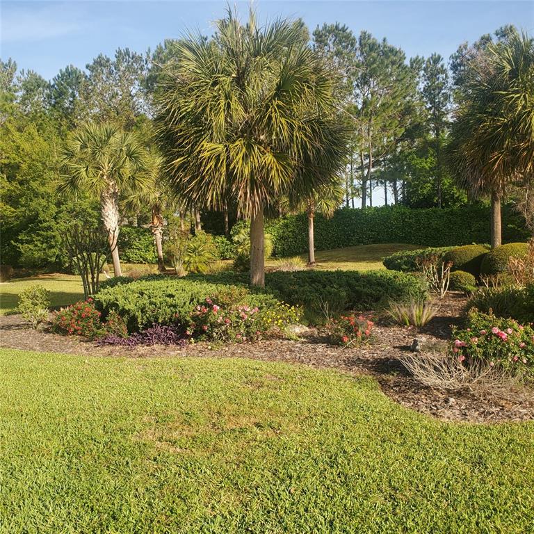 9391 Southwest 71st Loop Ocala, FL 34481 - Photo 67 of 91 Gallery Image 67