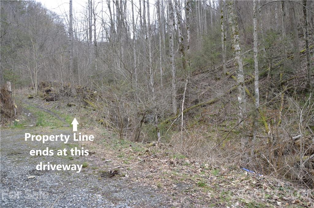 0 Kelses Valley Drive, Unit 1 Mars Hill, NC 28754 - Photo 11 of 16