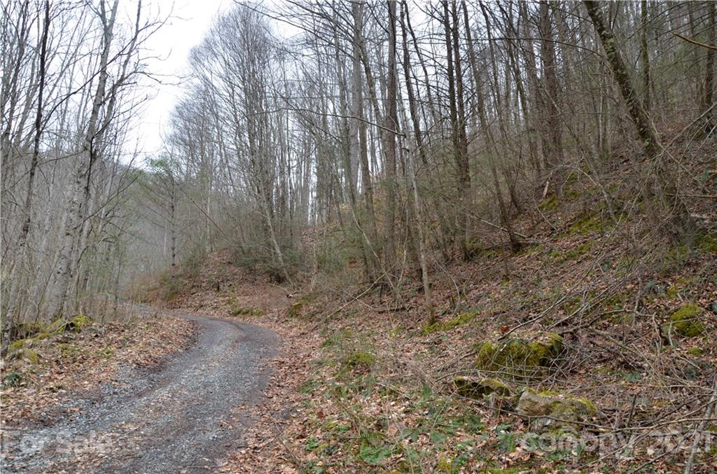 0 Kelses Valley Drive, Unit 1 Mars Hill, NC 28754 - Photo 4 of 16 a view of forest