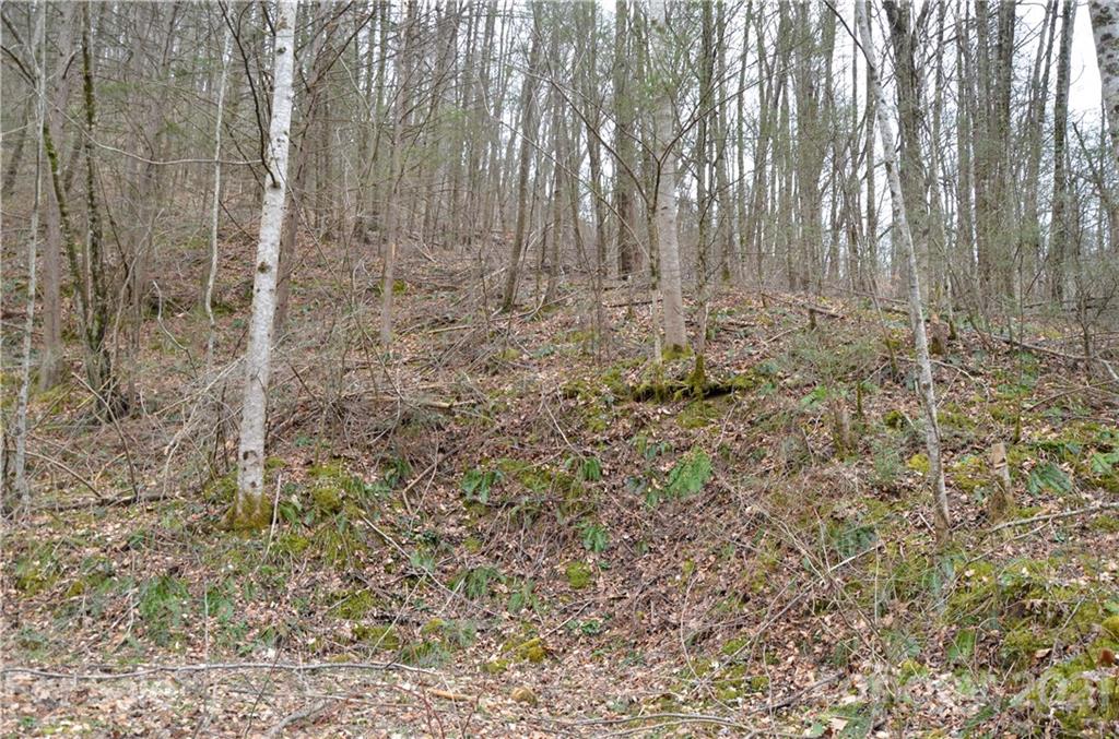 0 Kelses Valley Drive, Unit 1 Mars Hill, NC 28754 - Photo 5 of 16