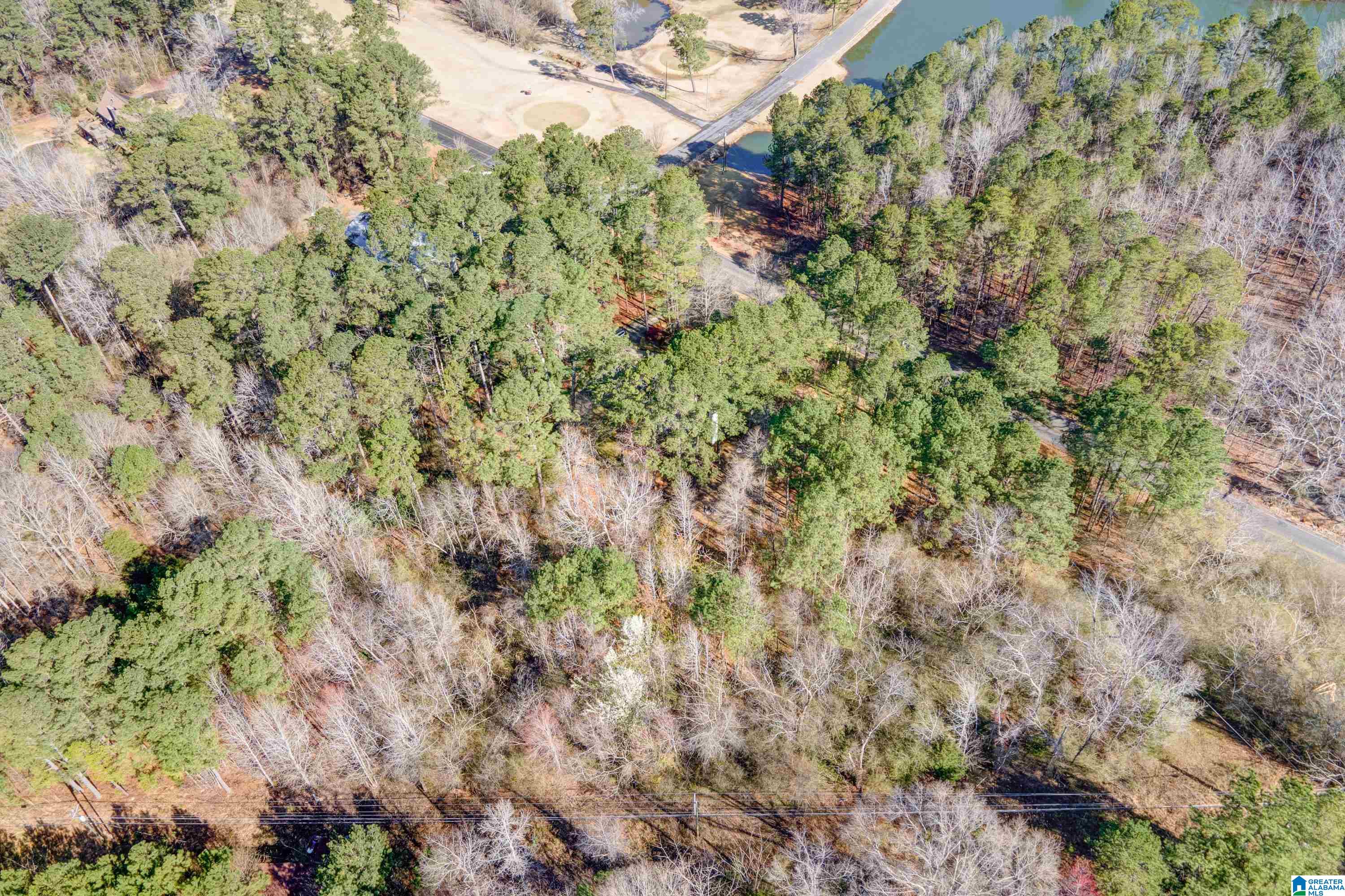 8970 Marsh Mountain Road Pinson, AL 35126 - Photo 43 of 48