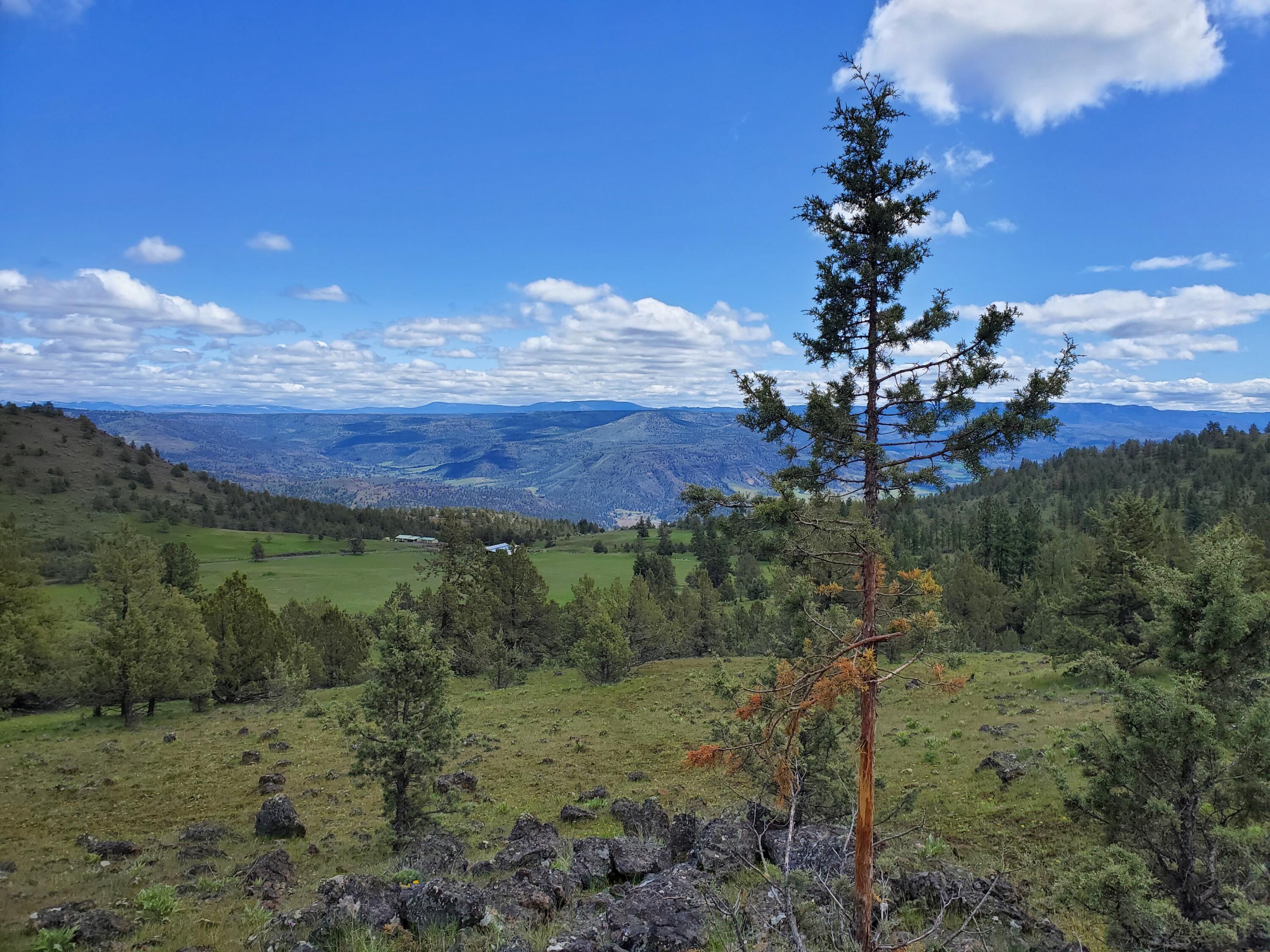 44221 Top Road Monument, OR 97864 - Photo 14 of 15 20220503_132739