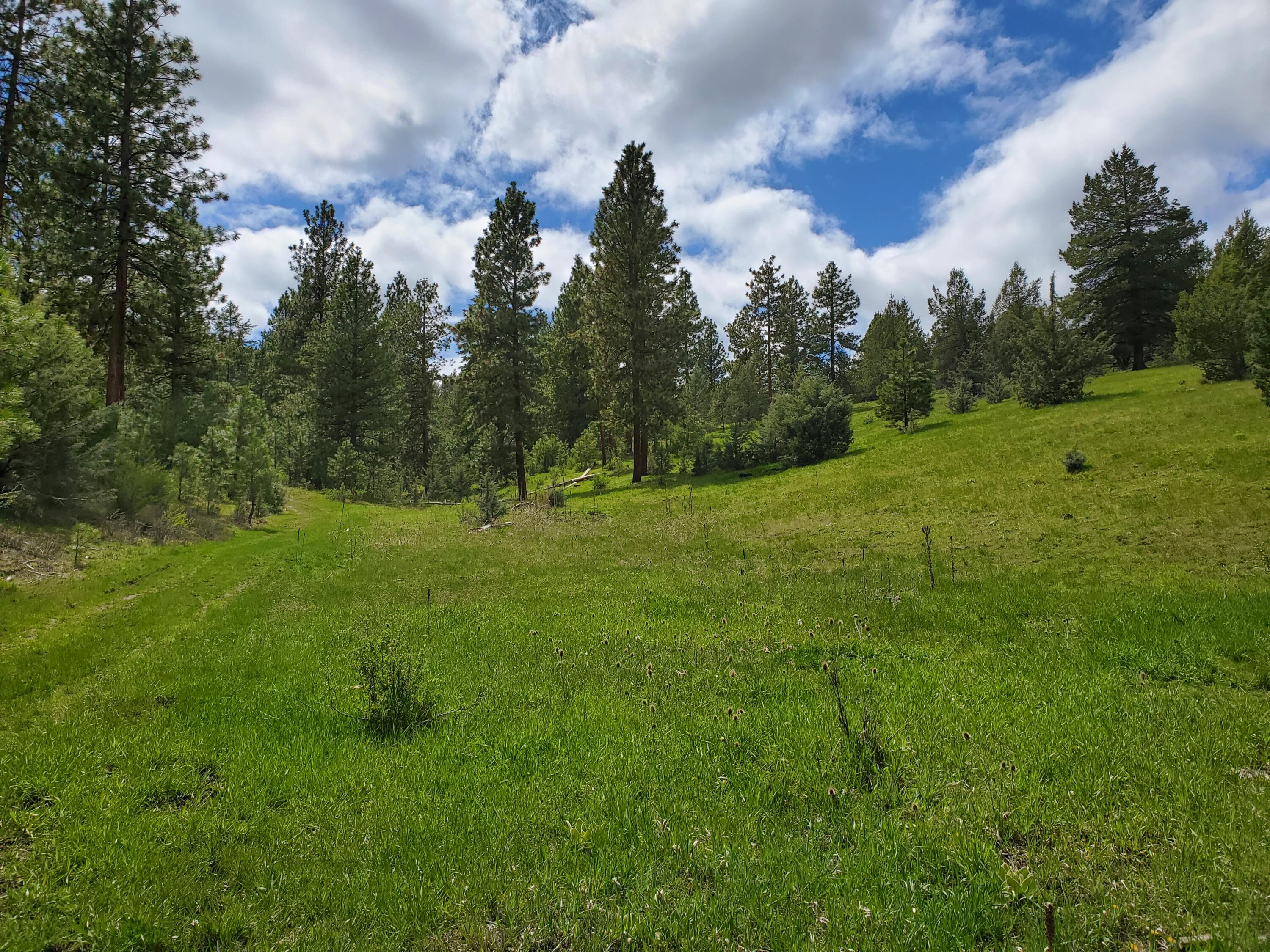44221 Top Road Monument, OR 97864 - Photo 5 of 15 20220503_140335