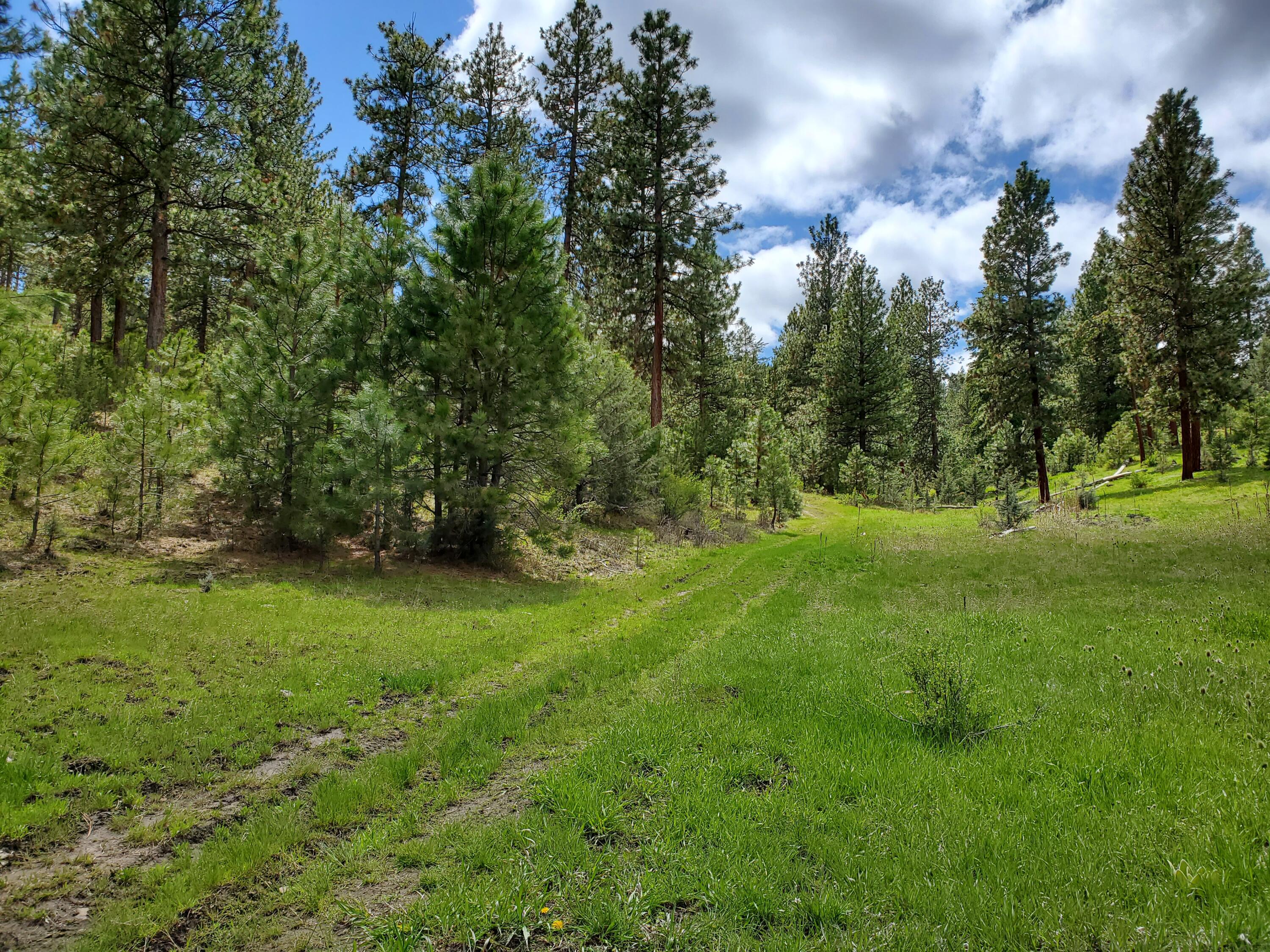 44221 Top Road Monument, OR 97864 - Photo 6 of 15 20220503_140343