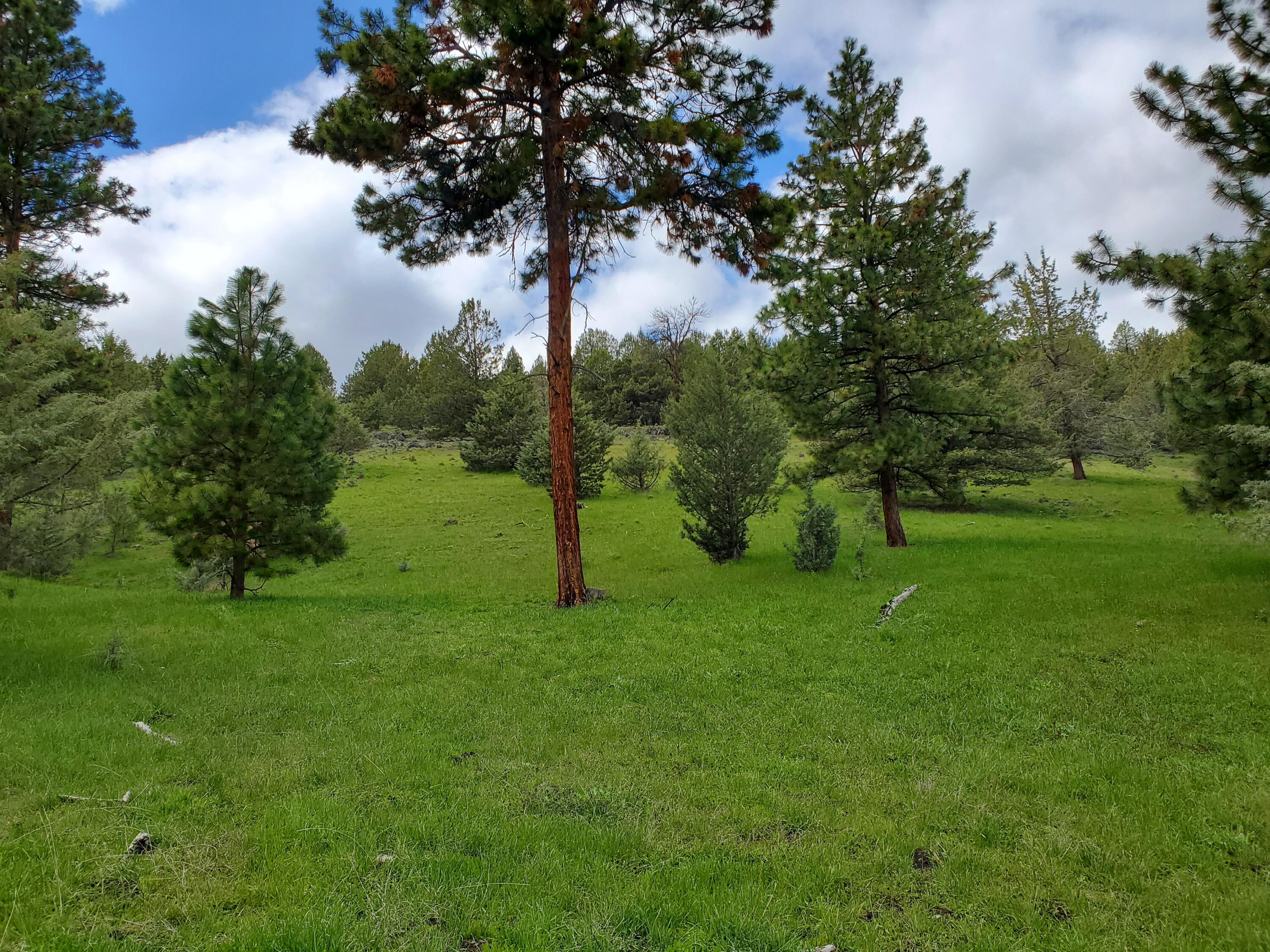 44221 Top Road Monument, OR 97864 - Photo 7 of 15 20220503_140550