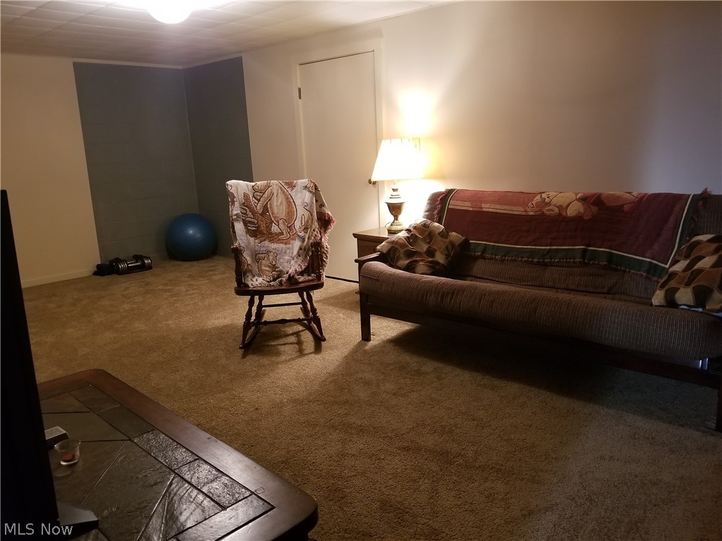 12552 Hametown Road Doylestown, OH 44230 - Photo 31 of 31 Gallery Image 31
