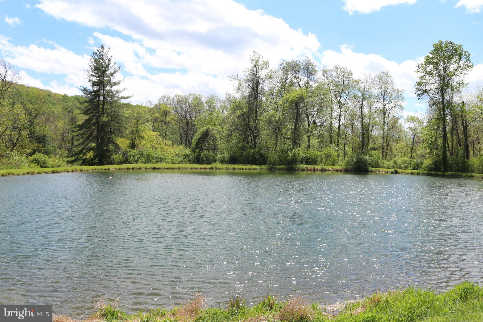 24726 Raven Rock Road Smithsburg, MD 21783 - Photo 3 of 30 Pond