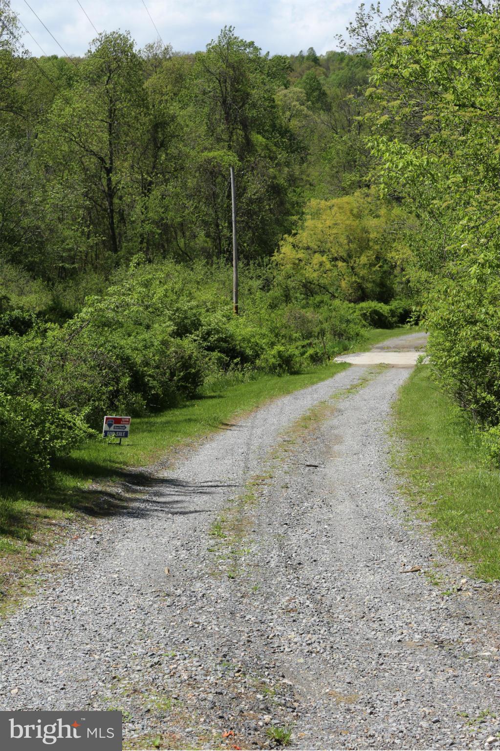 24726 Raven Rock Road Smithsburg, MD 21783 - Photo 29 of 30 Lane that goes back to property