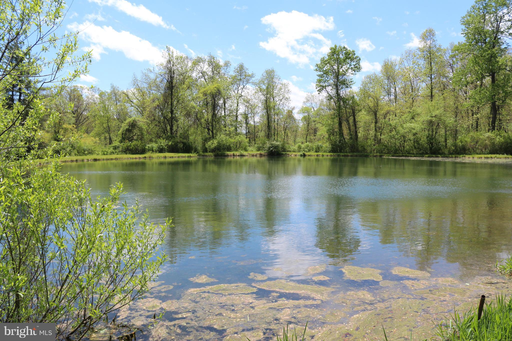 24726 Raven Rock Road Smithsburg, MD 21783 - Photo 10 of 30 Pond