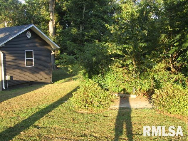 1506 Hillside Road Rosiclare, IL 62982 - Photo 20 of 29 a view of house with backyard