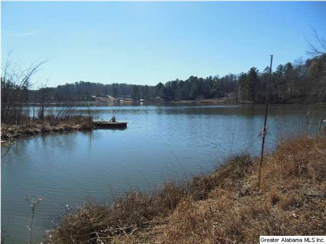 Lakeview Drive, Unit 10 Oneonta, AL 35121 - Photo 4 of 4