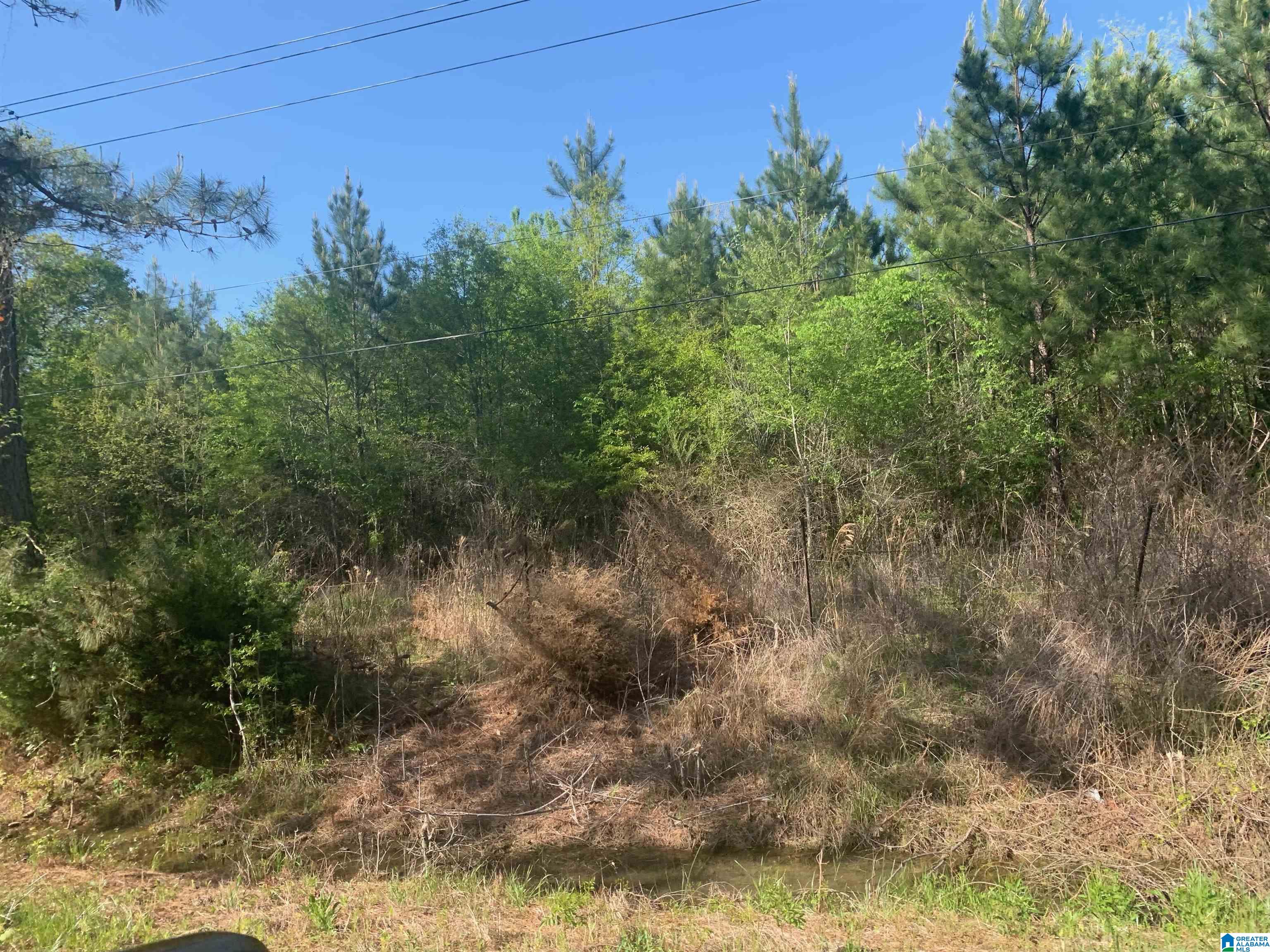 1835 Dry Valley Road, Unit 1 Lincoln, AL 35096 - Photo 5 of 14
