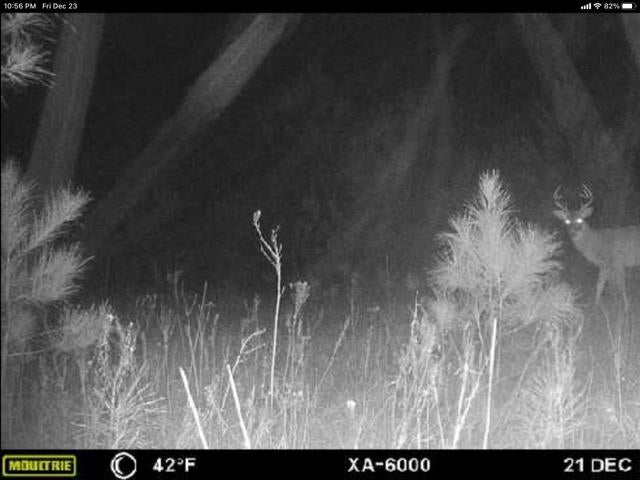 20740 Ray Armstrong Road Andalusia, AL 36421 - Photo 39 of 48 Gallery Image 39