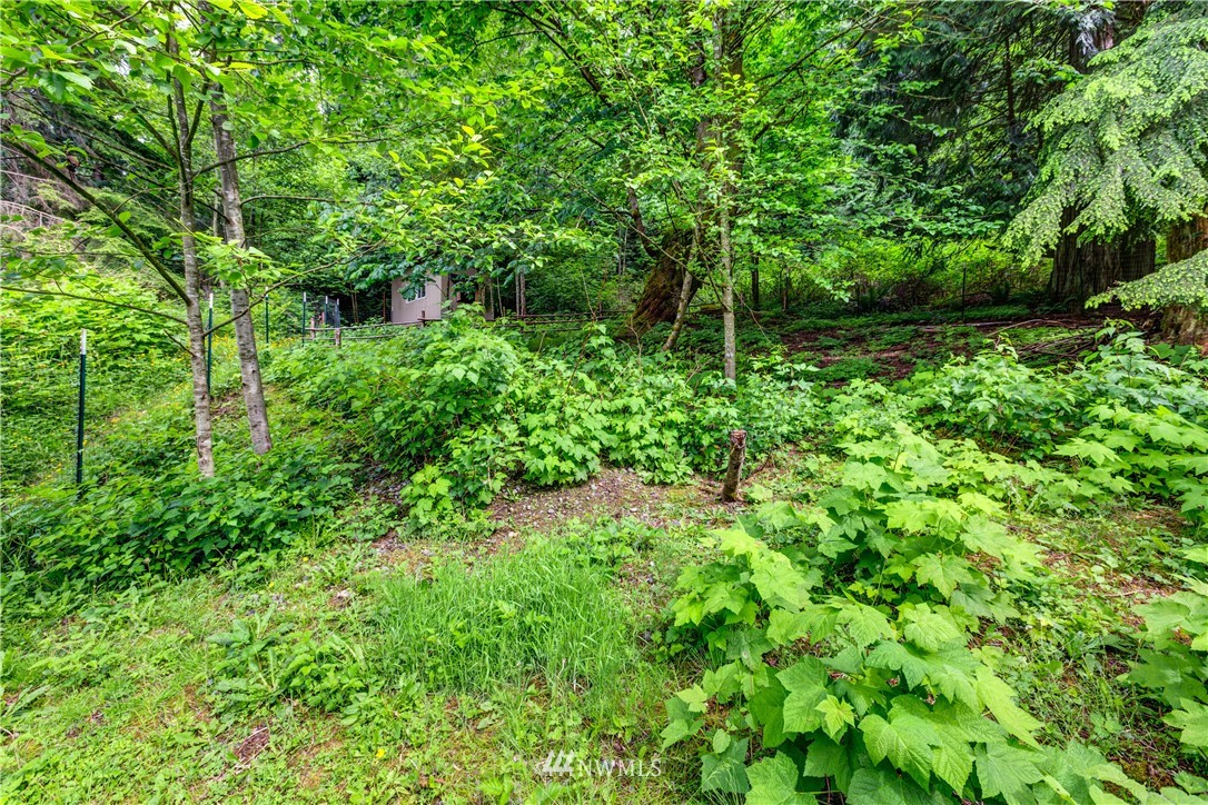 1309 Old Samish Road Bellingham, WA 98229 - Photo 37 of 40 a backyard of a house with lots of green space