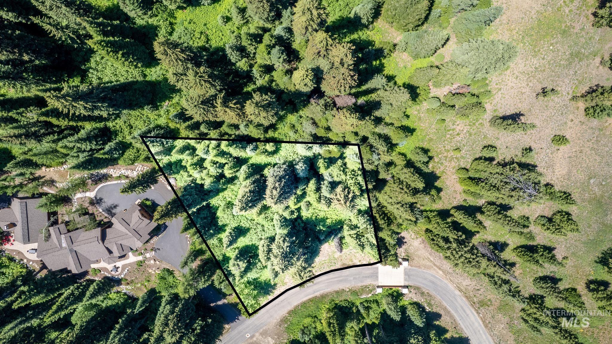 151 Pinnacle Court Cascade, ID 83611 - Photo 2 of 23 Lot lines are approximate