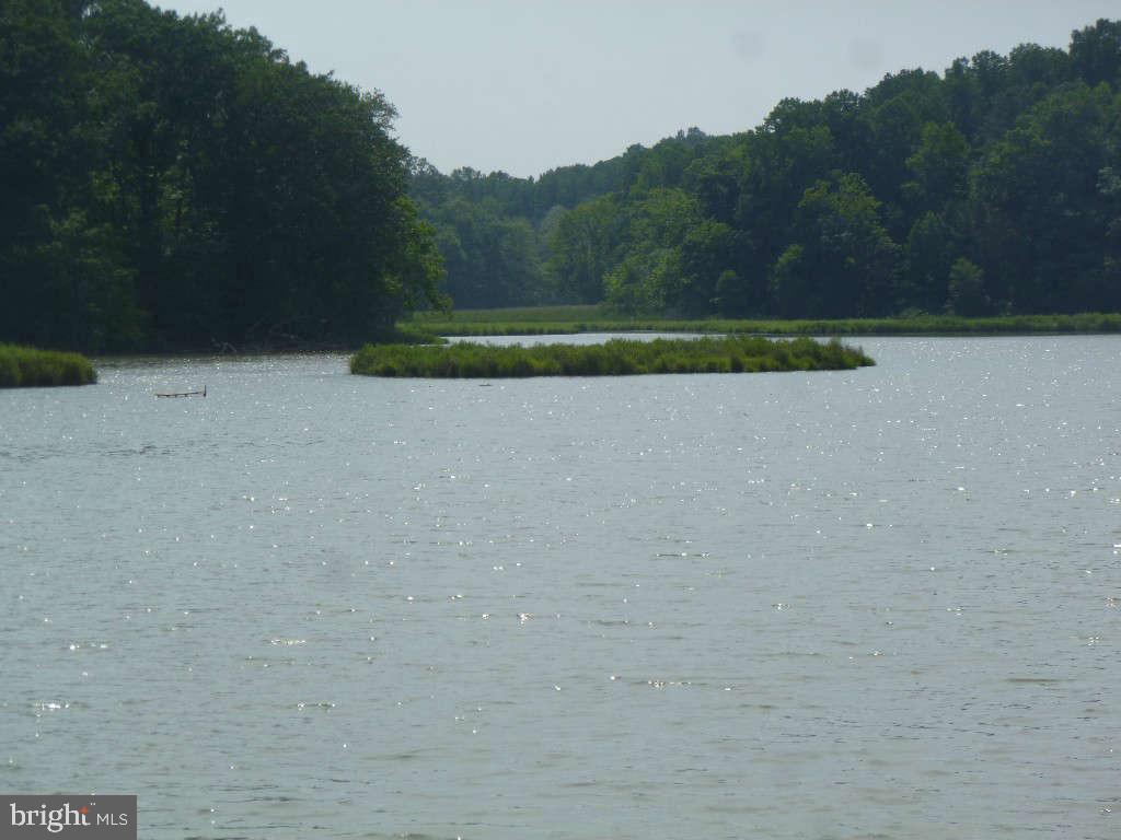 585 Fairhaven Road Tracys Landing, MD 20779 - Photo 5 of 13 From the back of home view