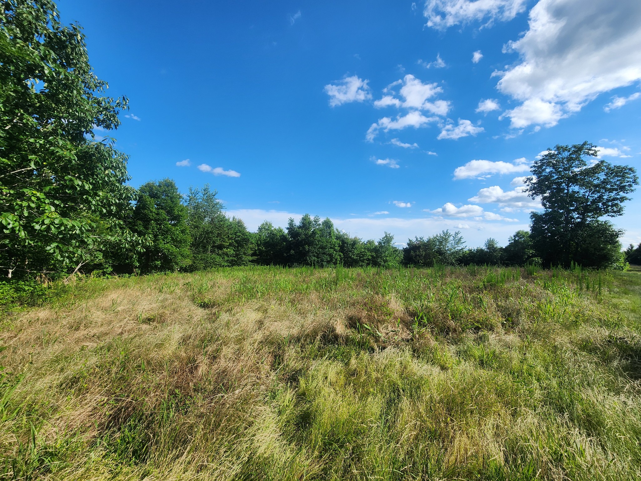 0 Sinking Creek Road Linden, TN 37096 - Photo 15 of 23