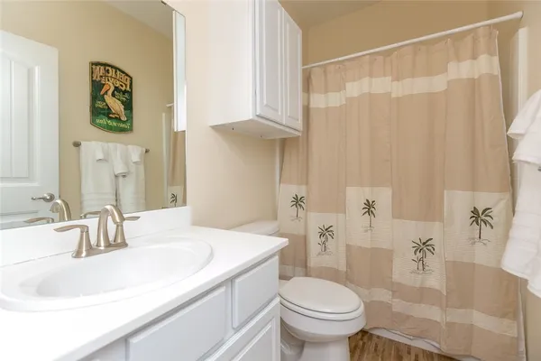 a bathroom with a sink a toilet and shower curtain