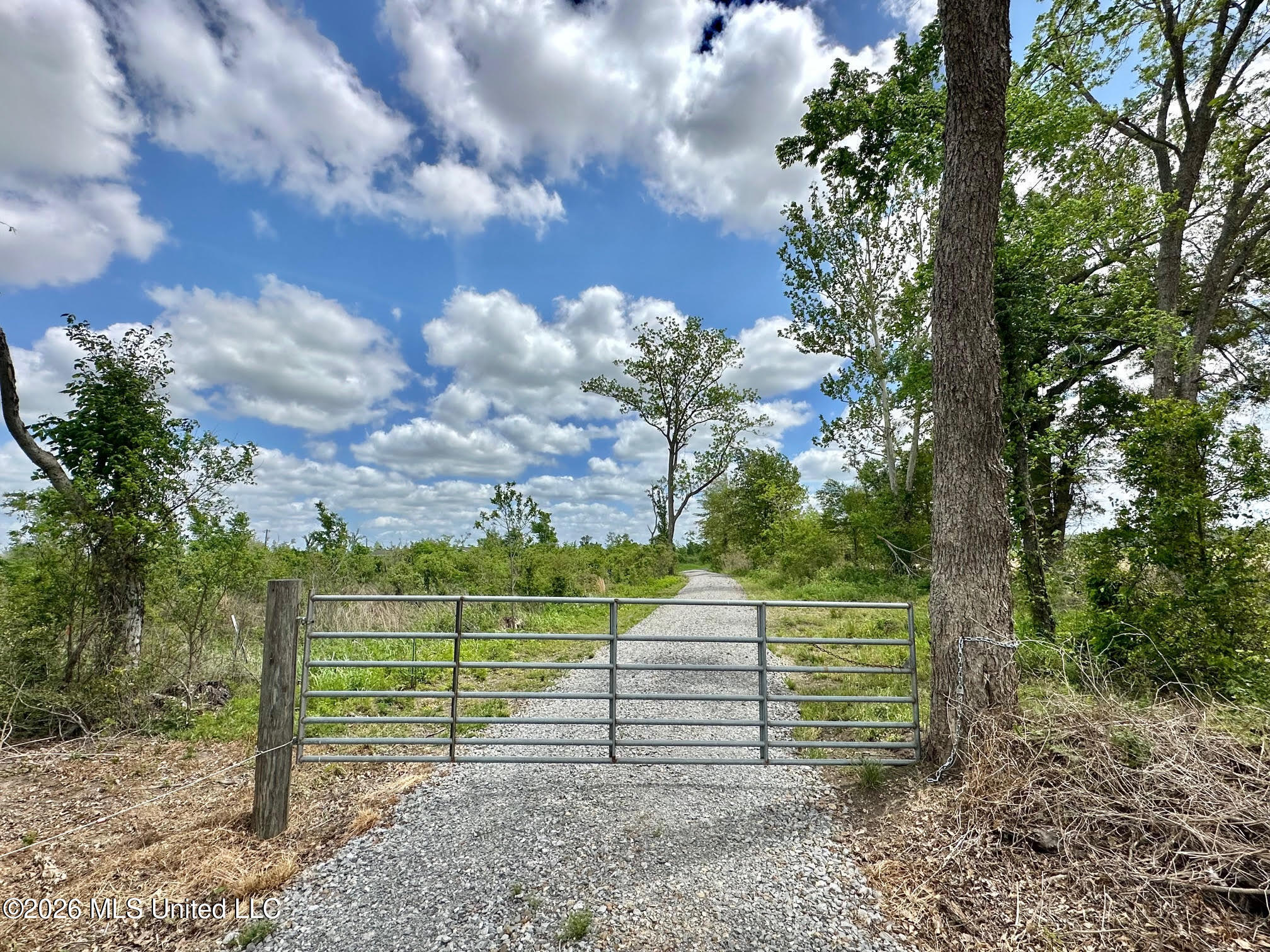 536 Omega Road Rolling Fork, MS 39159 - Photo 3 of 43 2