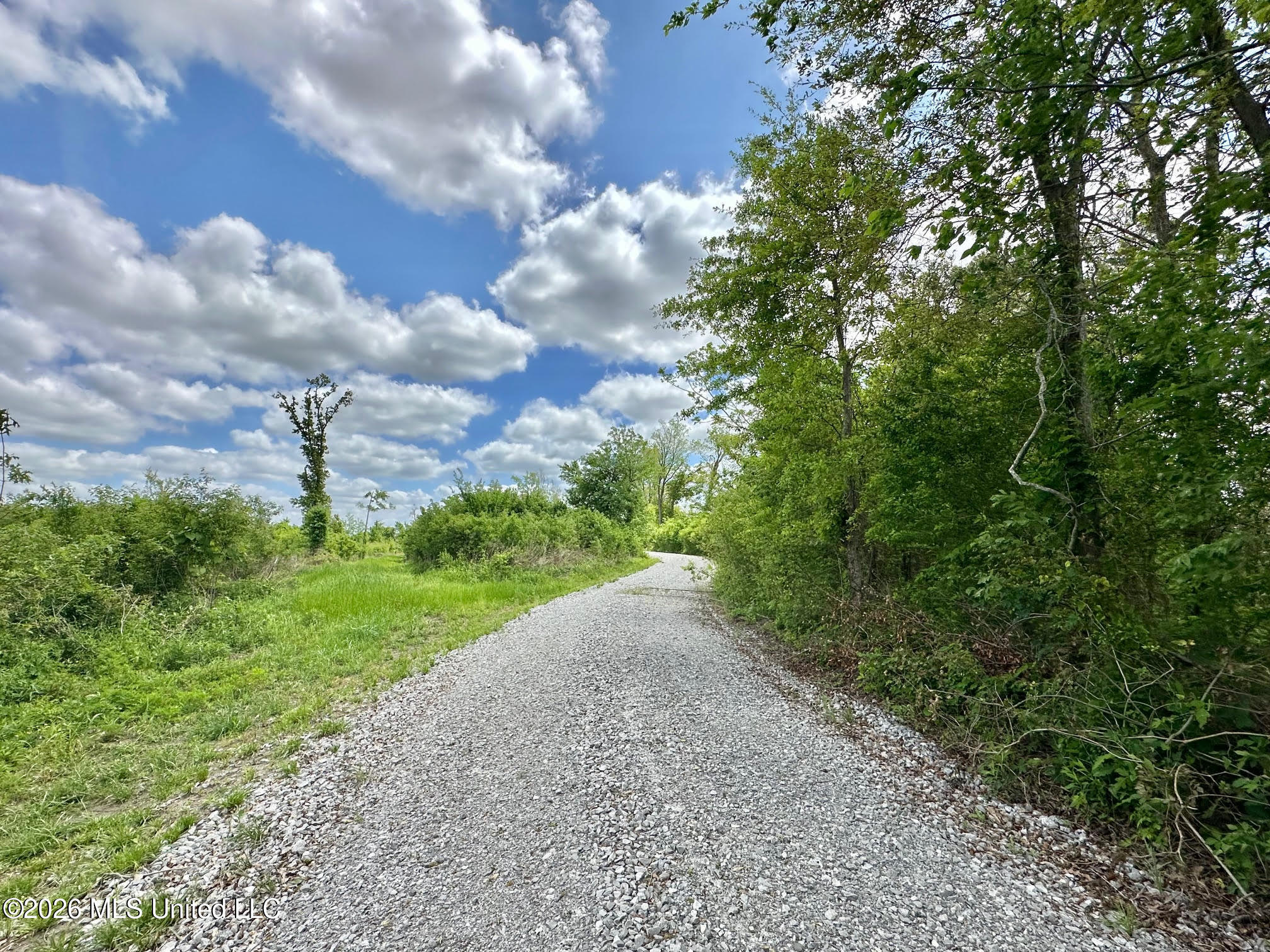 536 Omega Road Rolling Fork, MS 39159 - Photo 4 of 43 3