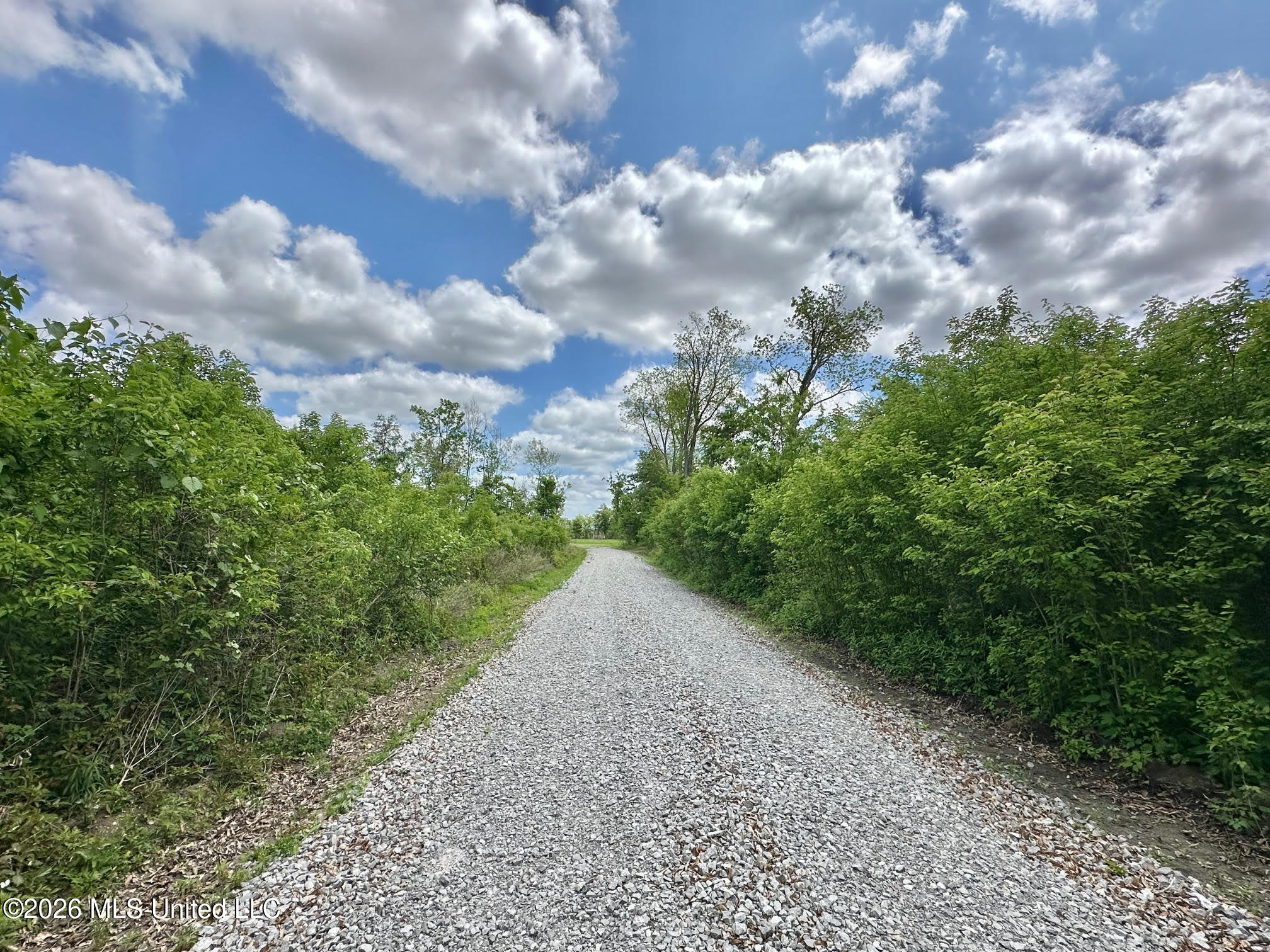 536 Omega Road Rolling Fork, MS 39159 - Photo 5 of 43 4