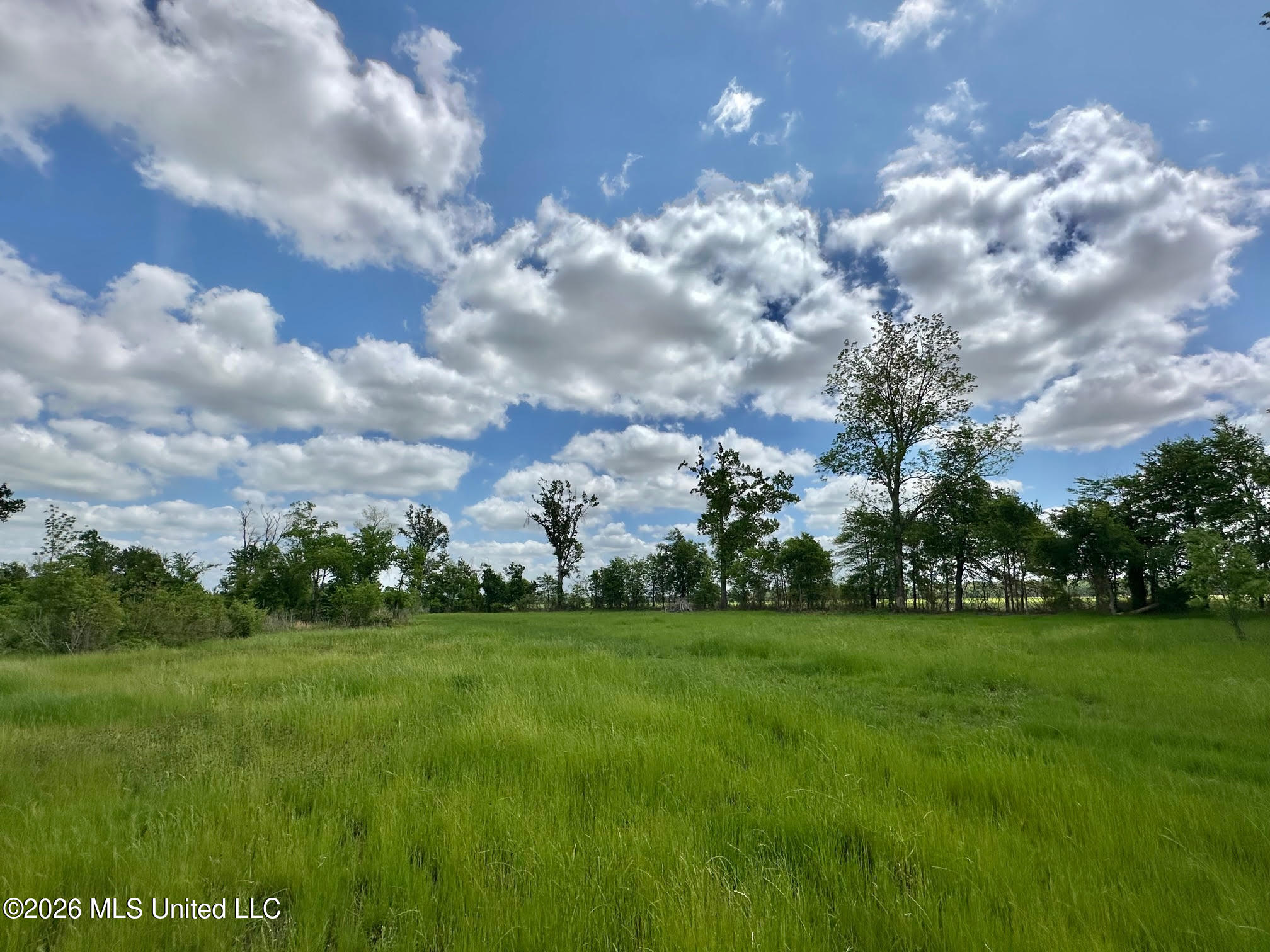 536 Omega Road Rolling Fork, MS 39159 - Photo 8 of 43 7