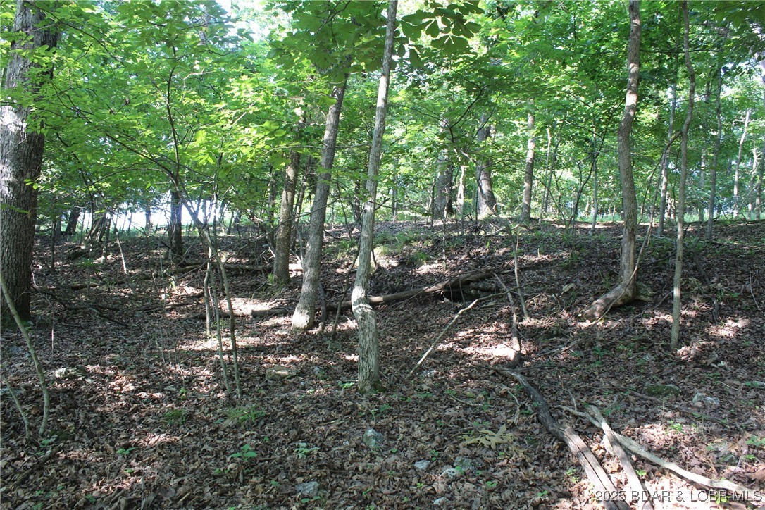 Karen Road Gravois Mills, MO 65037 - Photo 2 of 7 Highlighting the gentle slope and spacious buildab