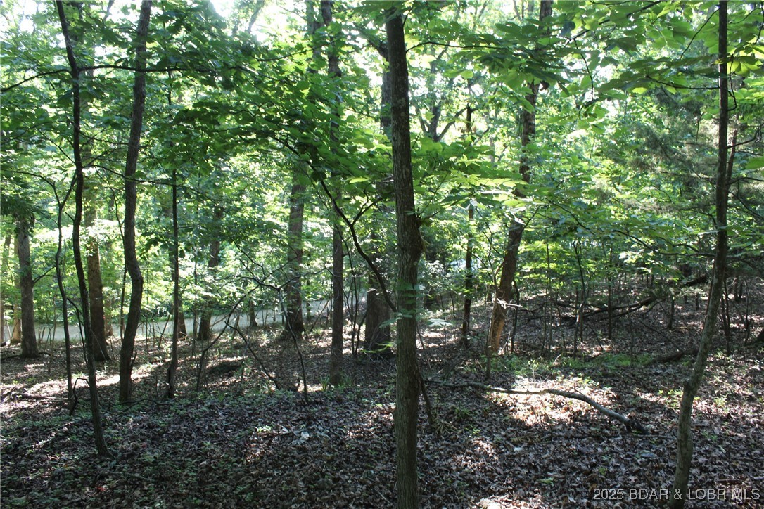 Karen Road Gravois Mills, MO 65037 - Photo 3 of 7 Natural slope, and potential for future developmen
