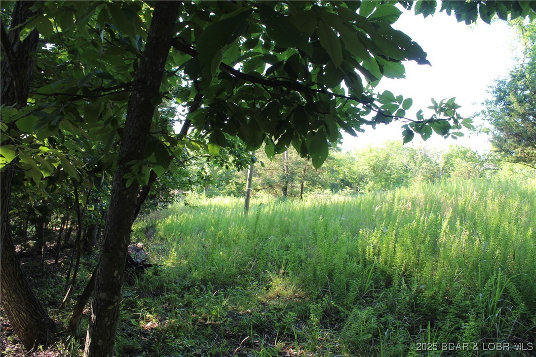 Karen Road Gravois Mills, MO 65037 - Photo 4 of 7 Small cleared out space near the top.