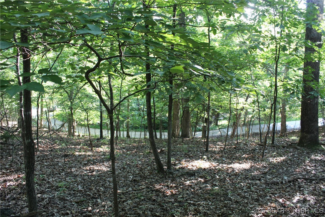 Karen Road Gravois Mills, MO 65037 - Photo 5 of 7 Featuring the gentle slope down to the road.