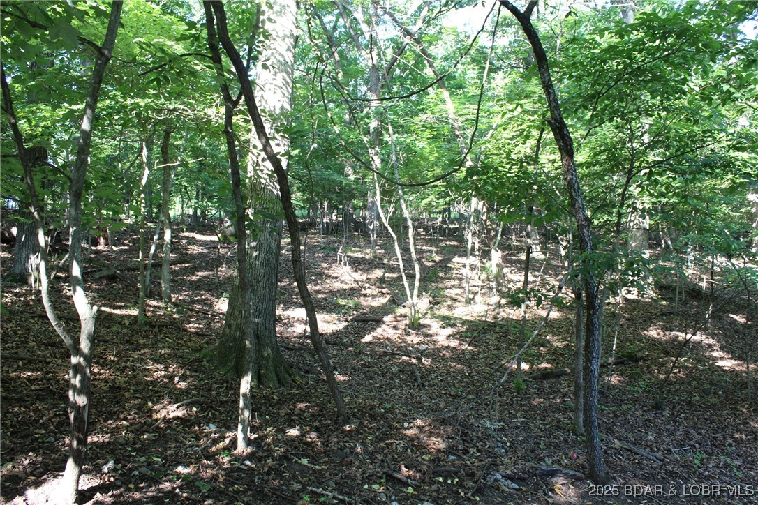 Karen Road Gravois Mills, MO 65037 - Photo 6 of 7 Looking into the property.