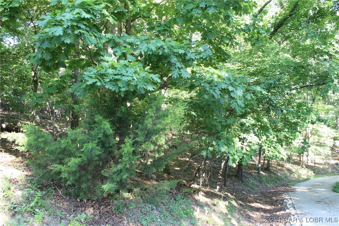 Karen Road Gravois Mills, MO 65037 - Photo 7 of 7 View from the left corner looking right offers a b
