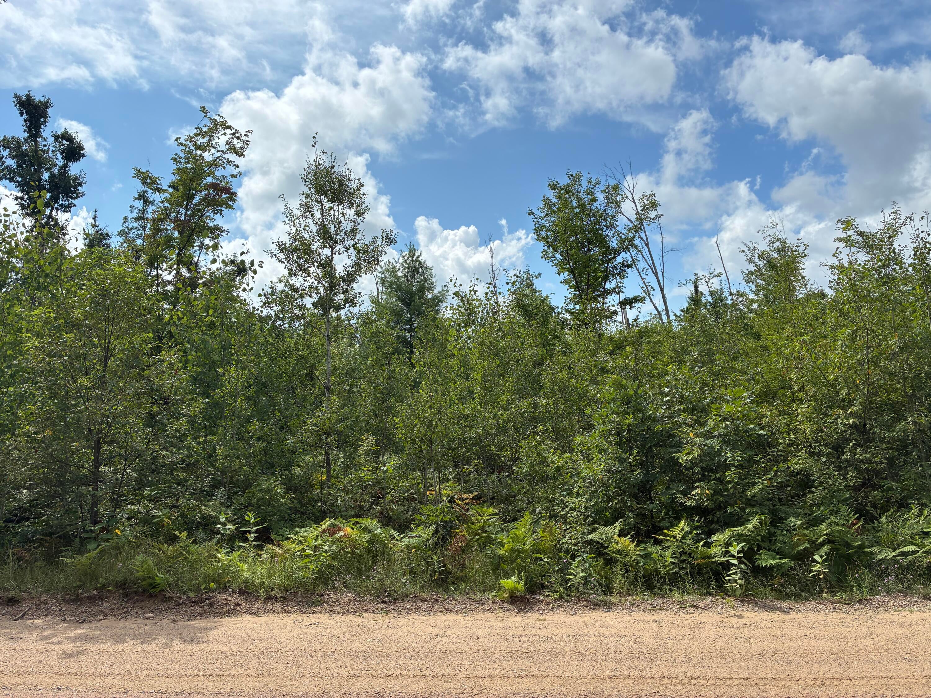 Parcel A Neumann Road Lewiston, MI 49756 - Photo 6 of 11 Gallery Image 6