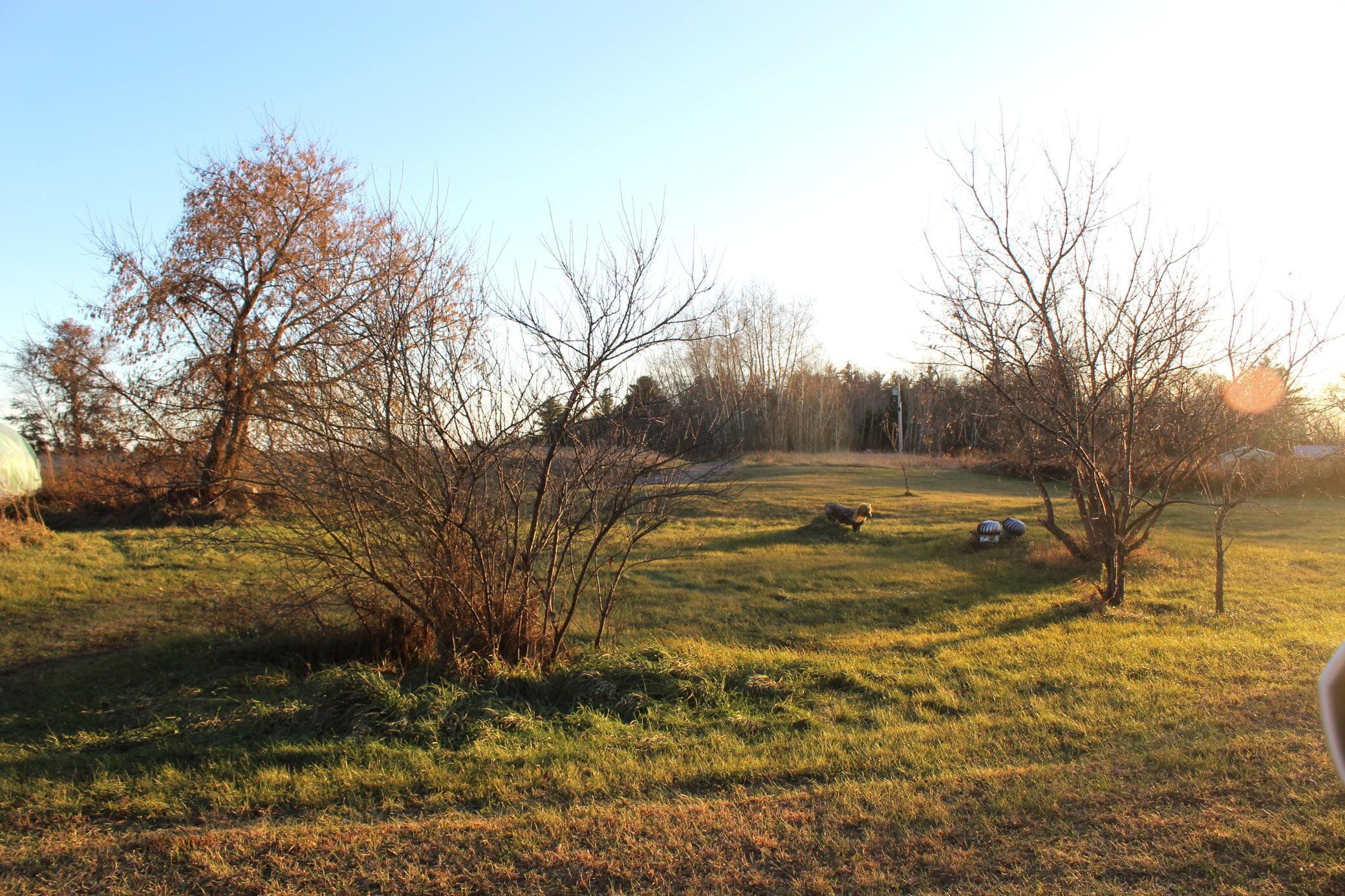 14076 Trails End Lane Brainerd, MN 56401 - Photo 16 of 17