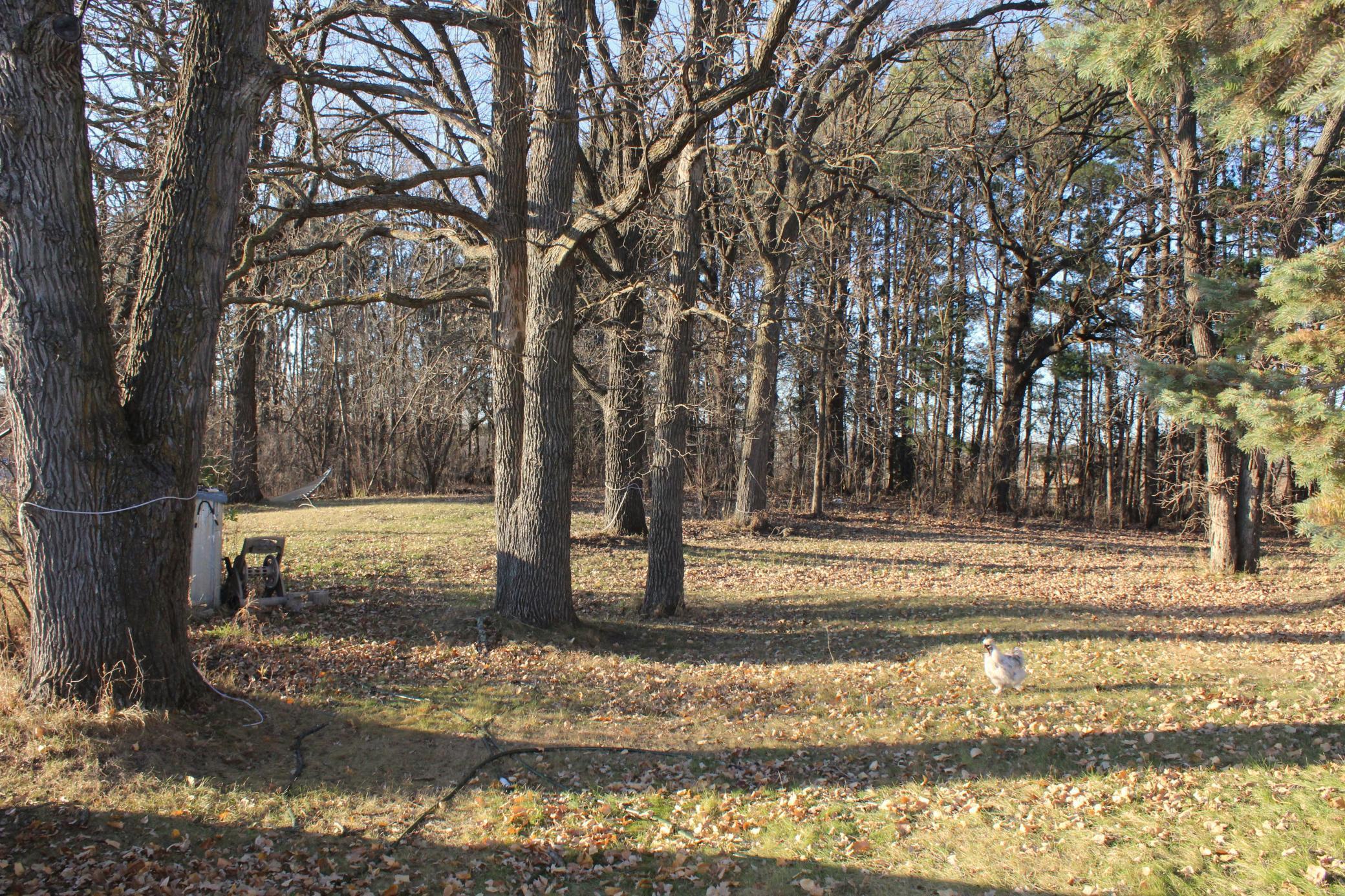 14076 Trails End Lane Brainerd, MN 56401 - Photo 17 of 17