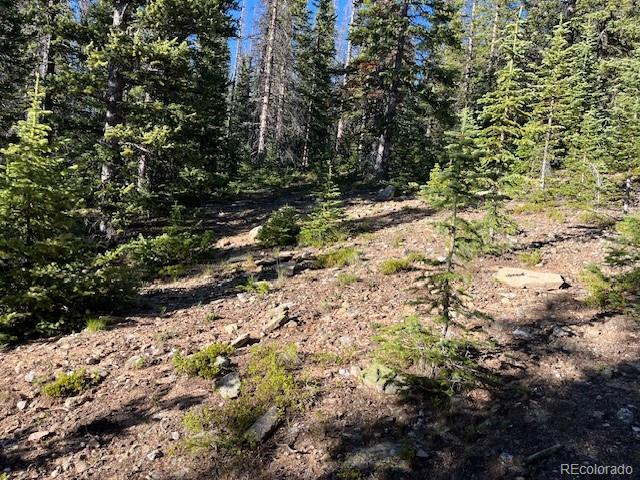 Lot 6525 Schlueter Road San Luis, CO 81152 - Photo 6 of 21