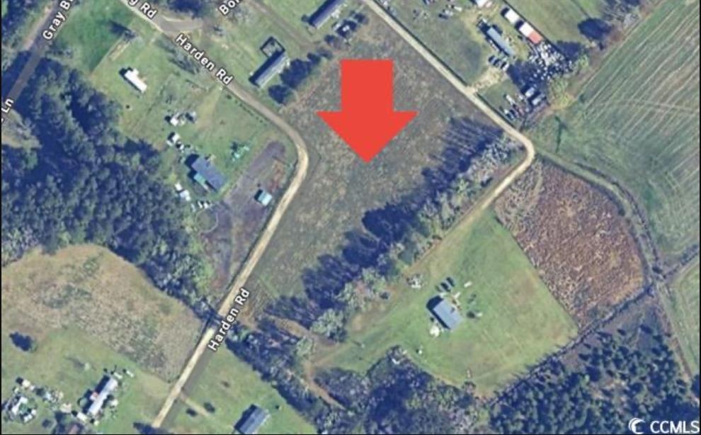 Tbd Harden Road Pamplico, SC 29583 - Photo 1 of 5