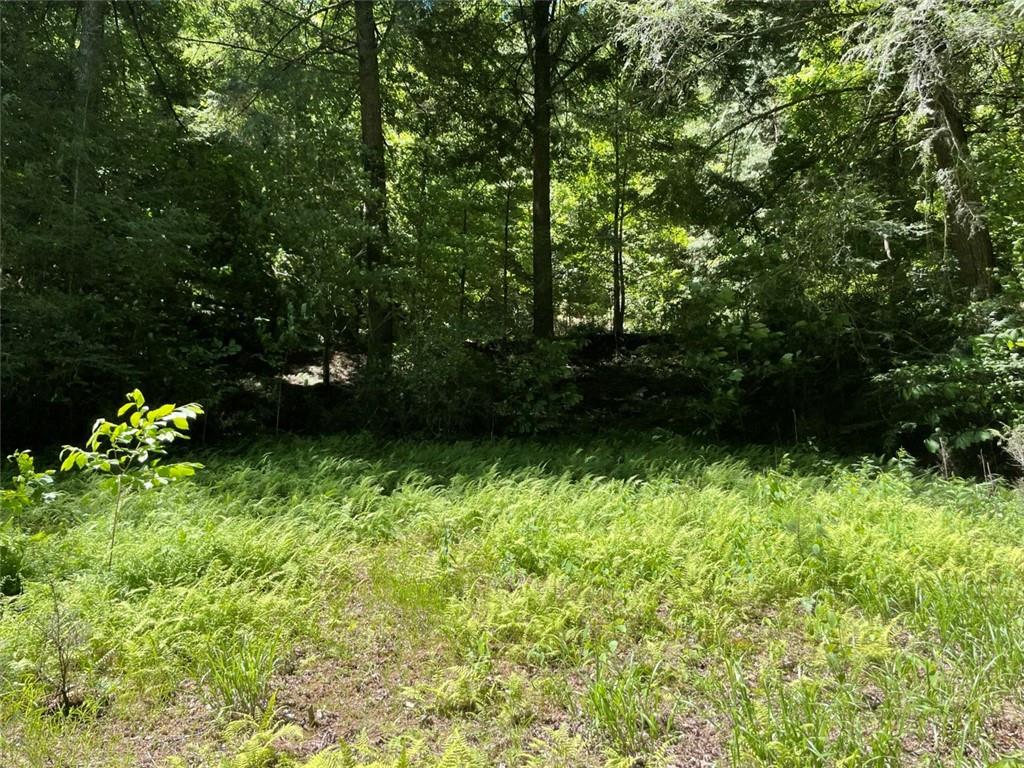 0 Sapulpa Court Ellijay, GA 30540 - Photo 3 of 12 a view of a garden