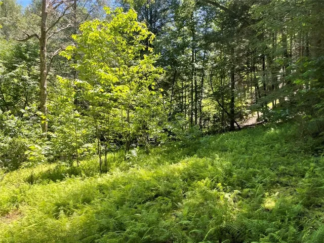 a view of a large yard with lots of bushes