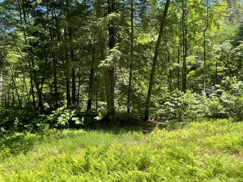 0 Sapulpa Court Ellijay, GA 30540 - Photo 5 of 12 a view of a yard