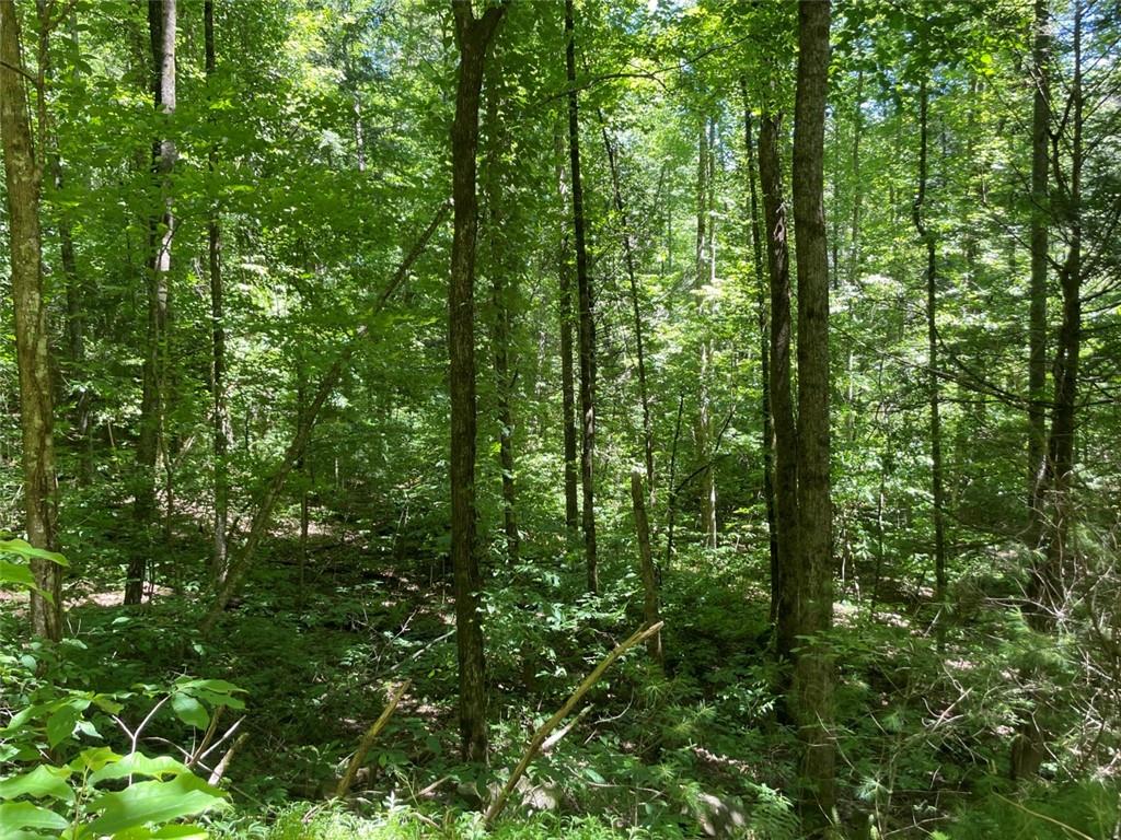 0 Sapulpa Court Ellijay, GA 30540 - Photo 6 of 12 a view of a green field