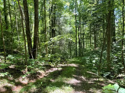 $199,000 | 0 Sapulpa Court, Ellijay, GA 30540