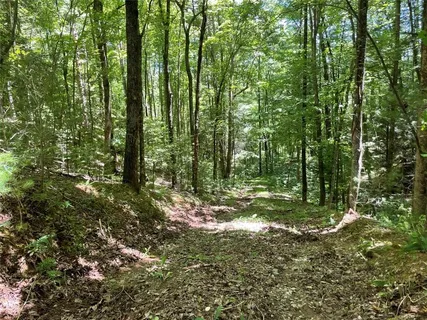 $199,000 | 0 Sapulpa Court, Ellijay, GA 30540