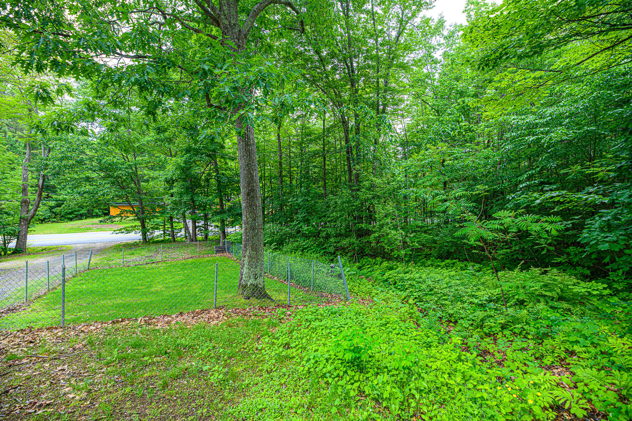 9 Dutton Hill Road Windham, ME 04062 - Photo 45 of 63 RSN_2696