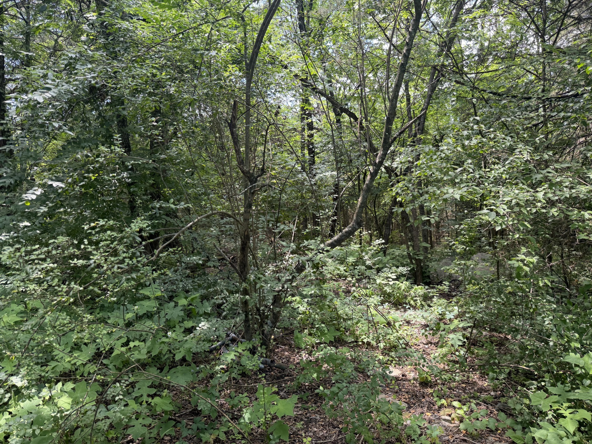 4750 Franklin Road Lebanon, TN 37090 - Photo 10 of 10 Gallery Image 10
