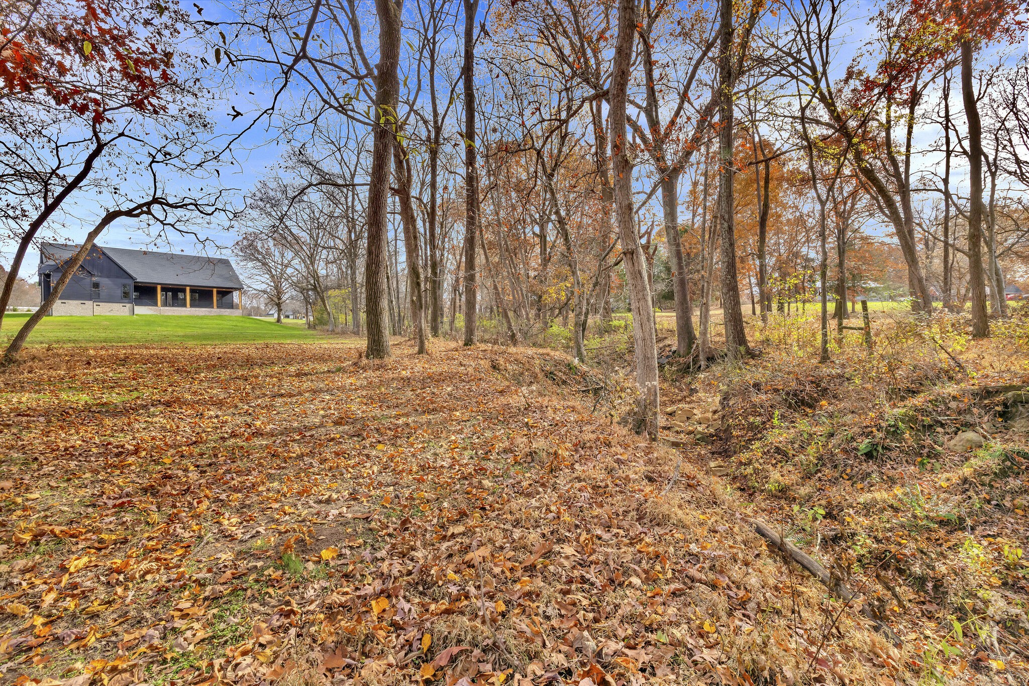 3435 Highway 25 Cottontown, TN 37048 - Photo 52 of 52 a view of a yard with trees
