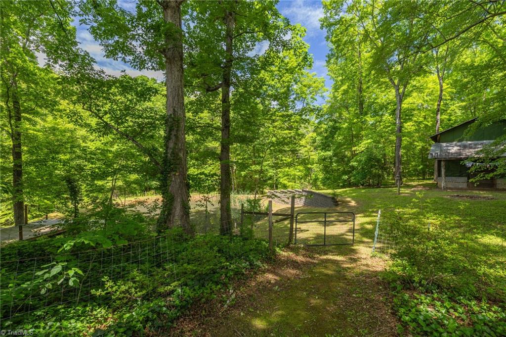 1134 Edwards Farm Road King, NC 27021 - Photo 35 of 50 Scenic trails throughout the property lead to little hidden gems for being one with nature.